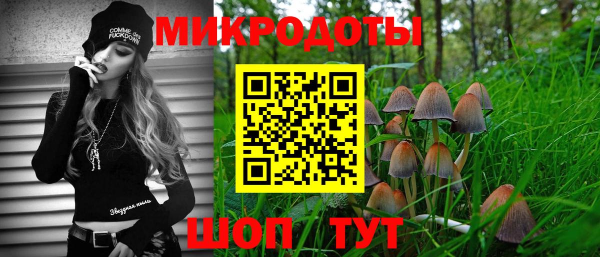 Псилоцибиновые грибы Psilocybe Звенигород