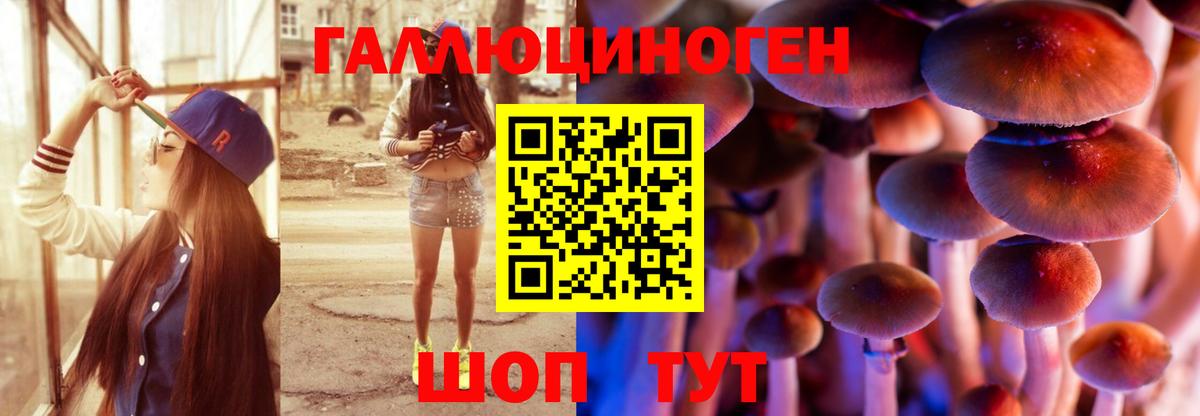 Звенигород  Псилоцибиновые грибы прущие грибы  Вход с VPN 